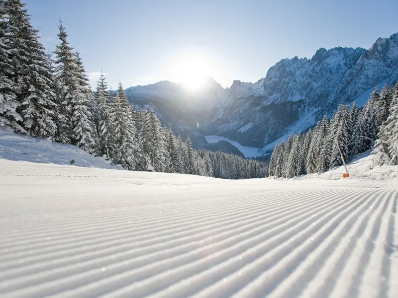 Winterdeal