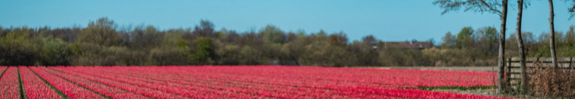 HuurMij Whitsun deal