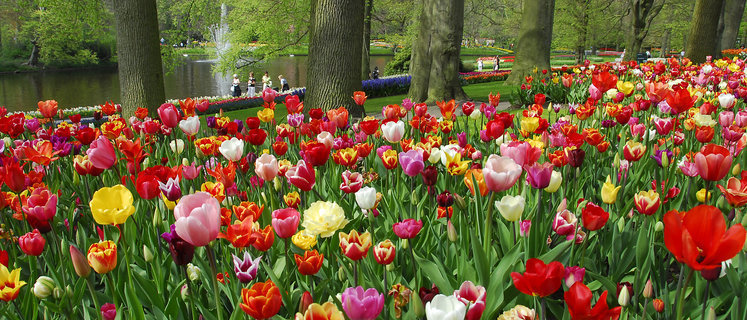 Openingstijden Pinksterweekend